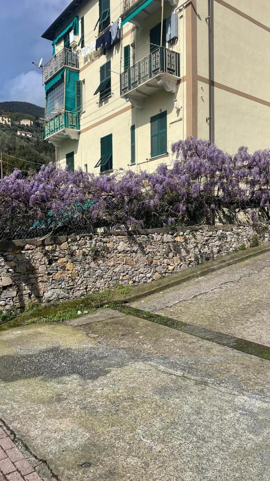Apartament Chez Amelie La Spezia Zewnętrze zdjęcie